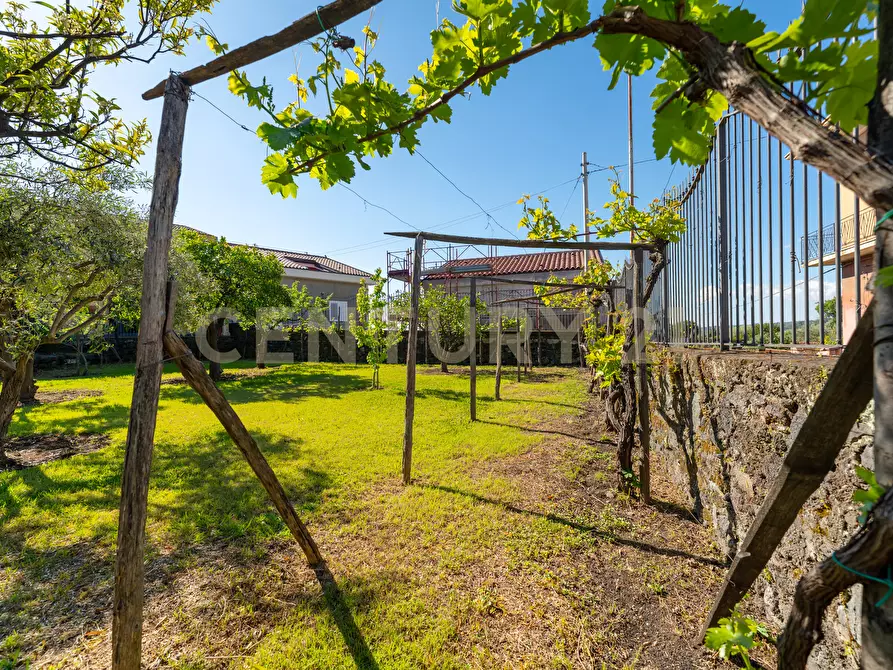 Immagine 25 di Casa indipendente in vendita  in Via Palombaro 56 a Santa Venerina