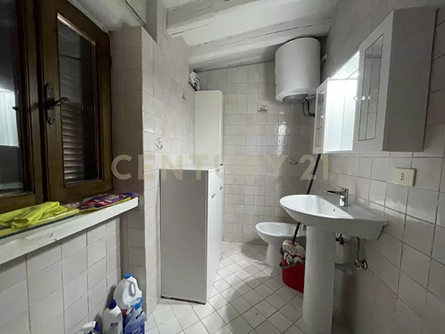 Immagine 10 di Trilocale in affitto  in Via delle Mimose 4 a Orbetello