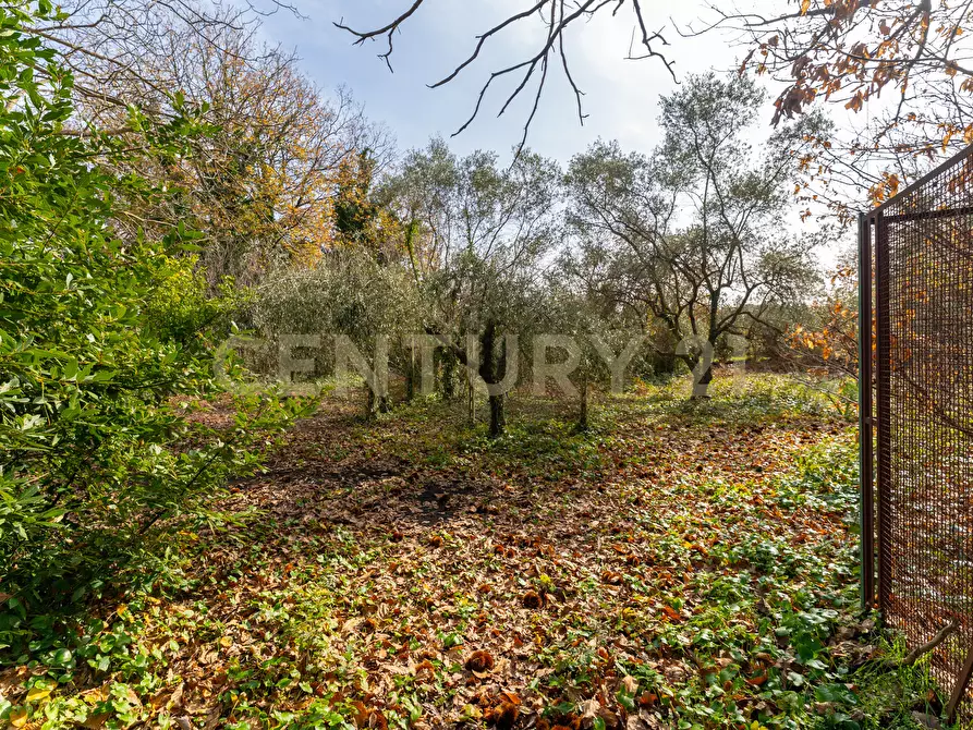 Immagine 15 di Villa in vendita  in CONTRADA ALBORETTO a Linguaglossa