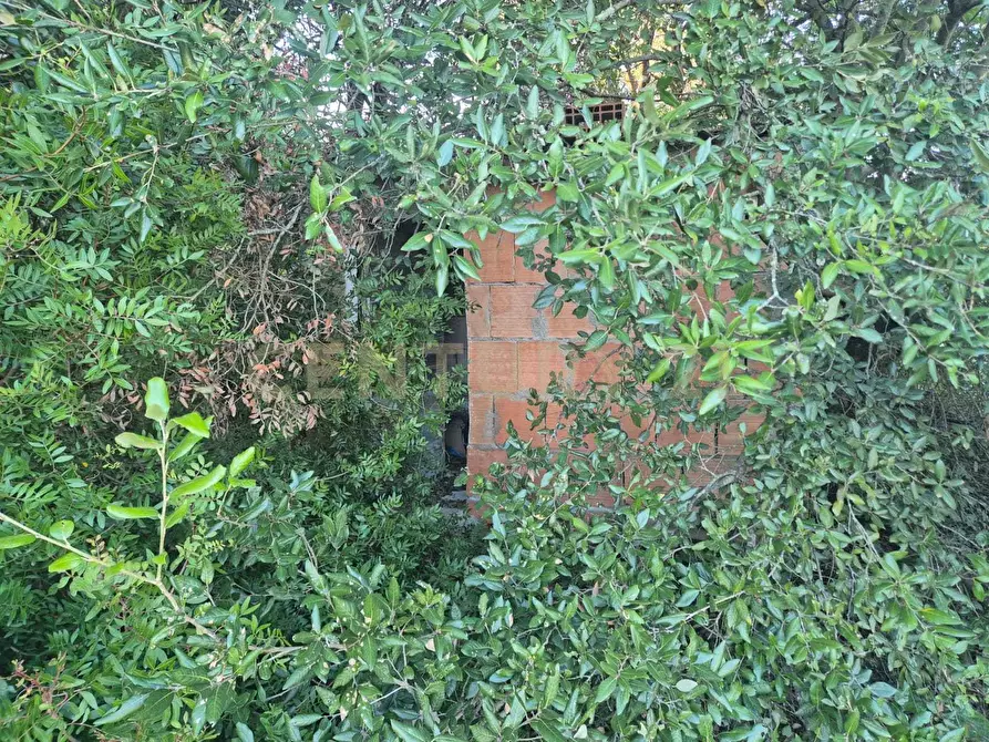 Immagine 8 di Rustico / casale in vendita  in loclaità fontepalma snc a Civitella Paganico