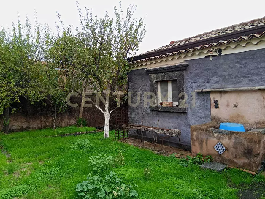 Immagine 1 di Villa in vendita  in Via Calvario 43 a Mascalucia