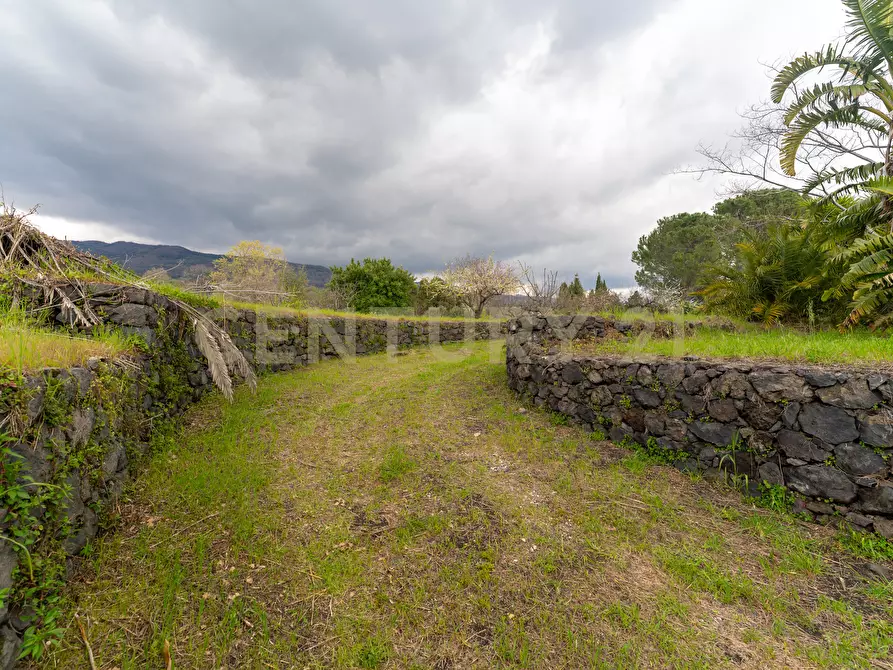 Immagine 14 di Casa indipendente in vendita  in Via Armando Diaz 83 a Zafferana Etnea