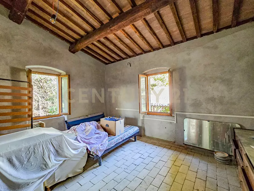 Immagine 9 di Rustico / casale in vendita  in Strada Provinciale 7 a Cinigiano