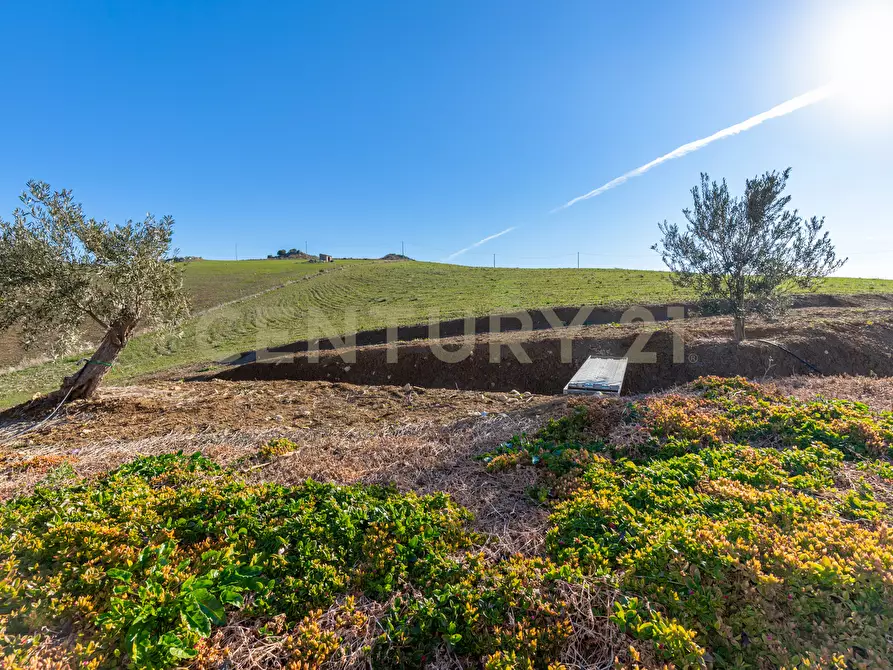 Immagine 16 di Villa in vendita  in Strada Provinciale 23b a Centuripe