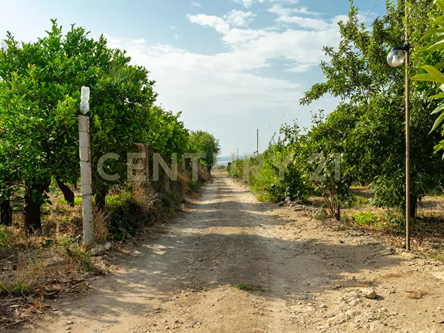 Immagine 39 di Casa indipendente in vendita  in Strada Statale 194 a Carlentini