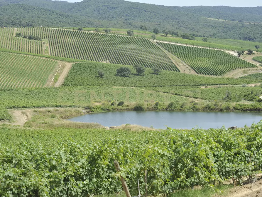 Immagine 58 di Villa in vendita  in Strada di Monte Bottigli a Grosseto