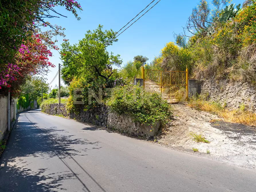 Immagine 9 di Terreno agricolo in vendita  in Via Vampolieri 14 a Aci Castello