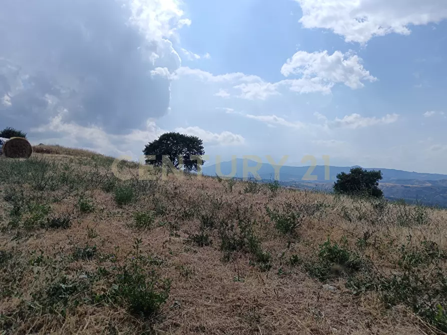 Immagine 10 di Terreno edificabile in vendita  in Località Podere Scarpetta 90 a Radicofani