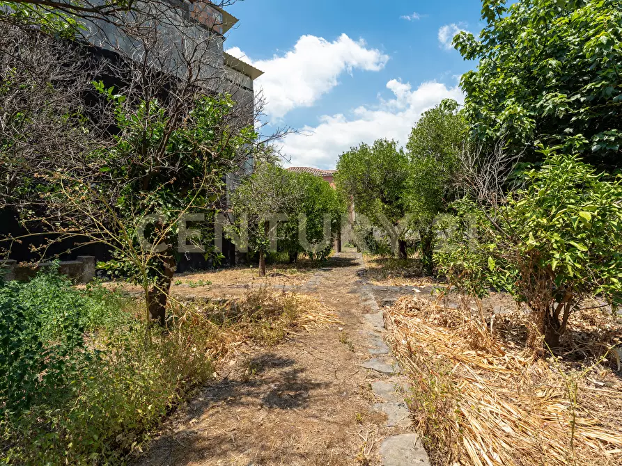 Immagine 6 di Villa in vendita  in Piazza F. M. Scuderi 7 a Viagrande