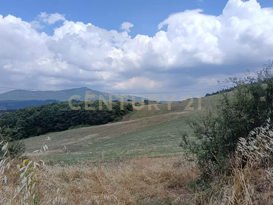 Immagine 11 di Terreno edificabile in vendita  in Località Podere Scarpetta 90 a Radicofani