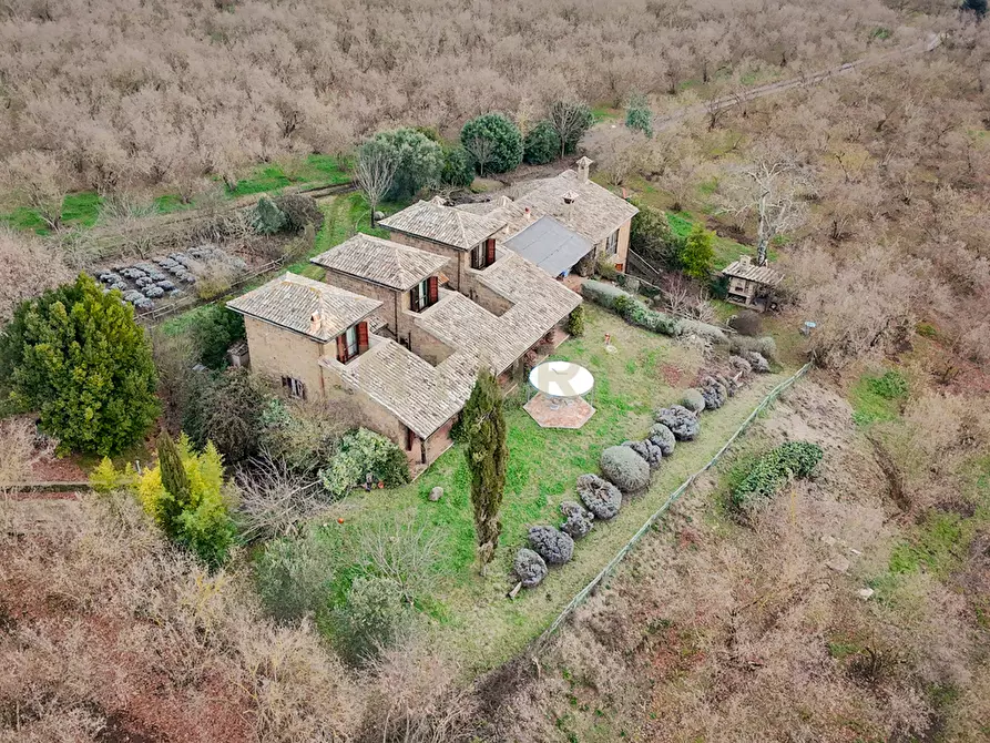 Immagine 4 di Villa in vendita  in Località Campo Rotondo snc a Capranica