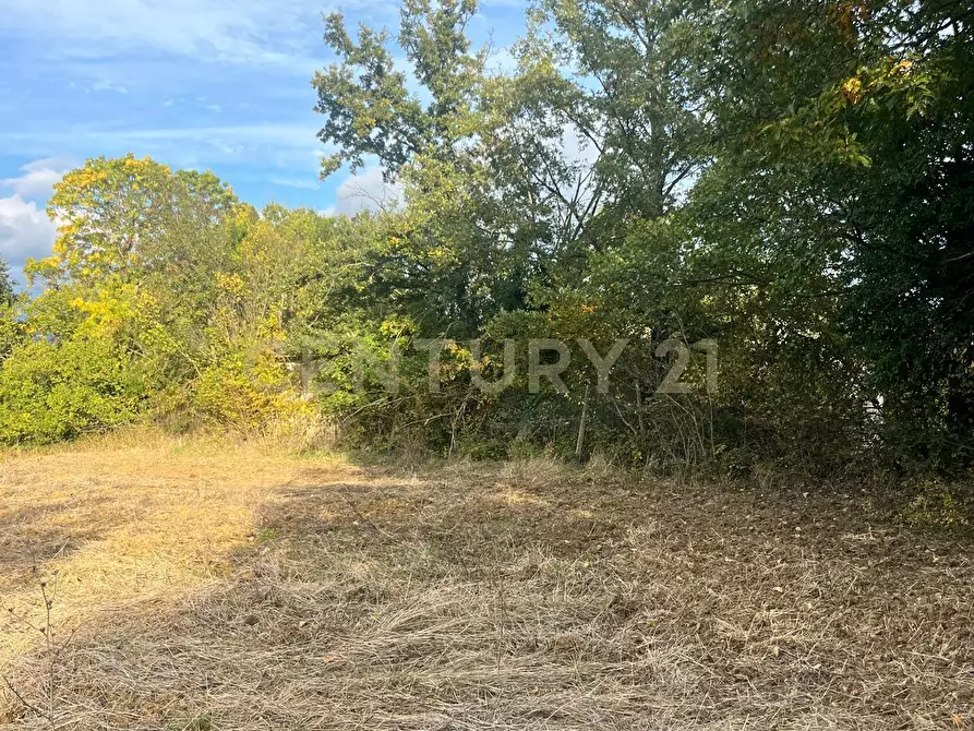 Immagine 15 di Rustico / casale in vendita  in località casa iaconi a Semproniano