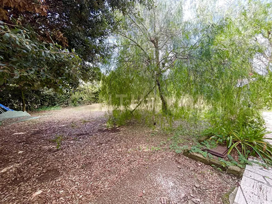 Immagine 5 di Rustico / casale in vendita  in località quarto albegna snc a Manciano