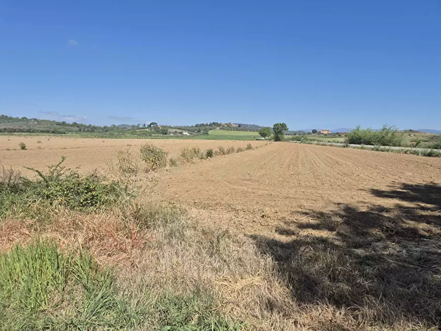 Immagine 18 di Terreno agricolo in vendita  in loc. Badia Vecchia a Castiglione Della Pescaia