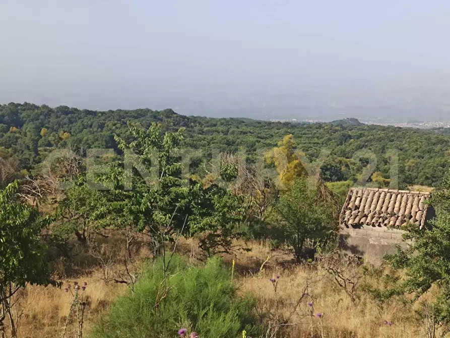 Immagine 42 di Terreno agricolo in vendita  in C.da Filiciusa a Biancavilla