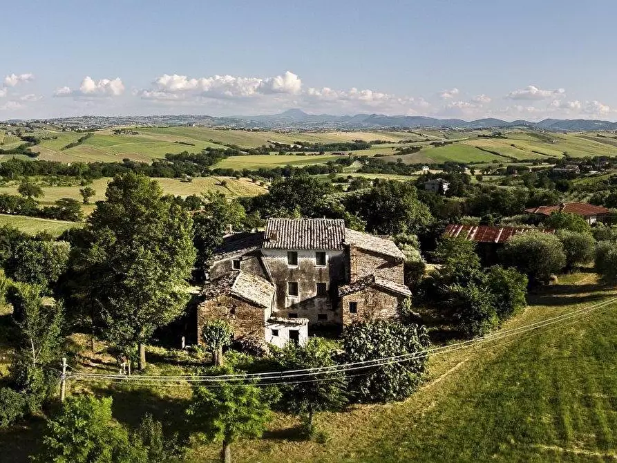 Immagine 1 di Rustico / casale in vendita  in CASTEL LEONE DI SUASA a Ostra Vetere