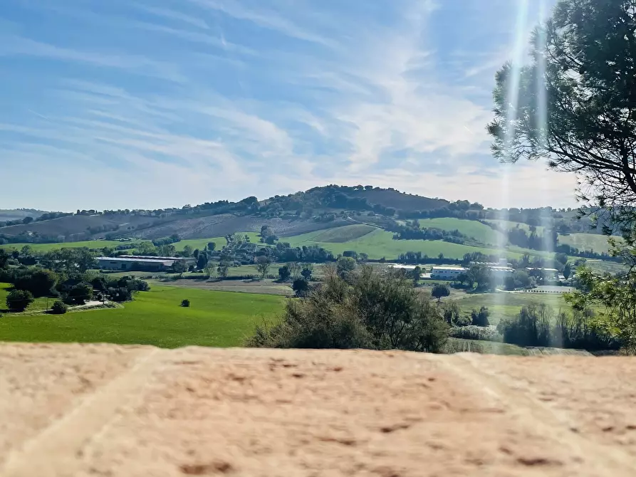 Immagine 32 di Rustico / casale in vendita  in via abbadia a Osimo