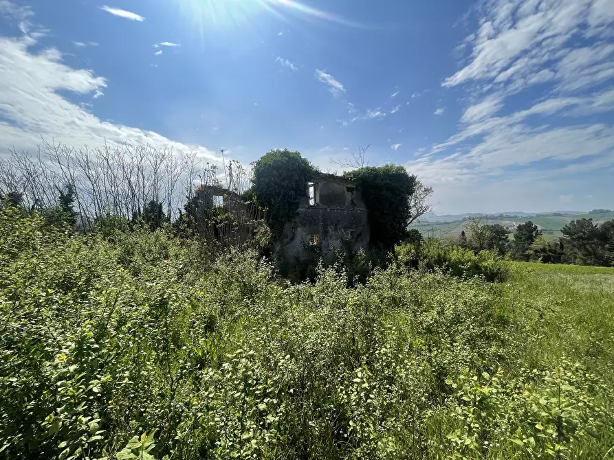 Immagine 7 di Rustico / casale in vendita  in Frazione Poggio a Ancona