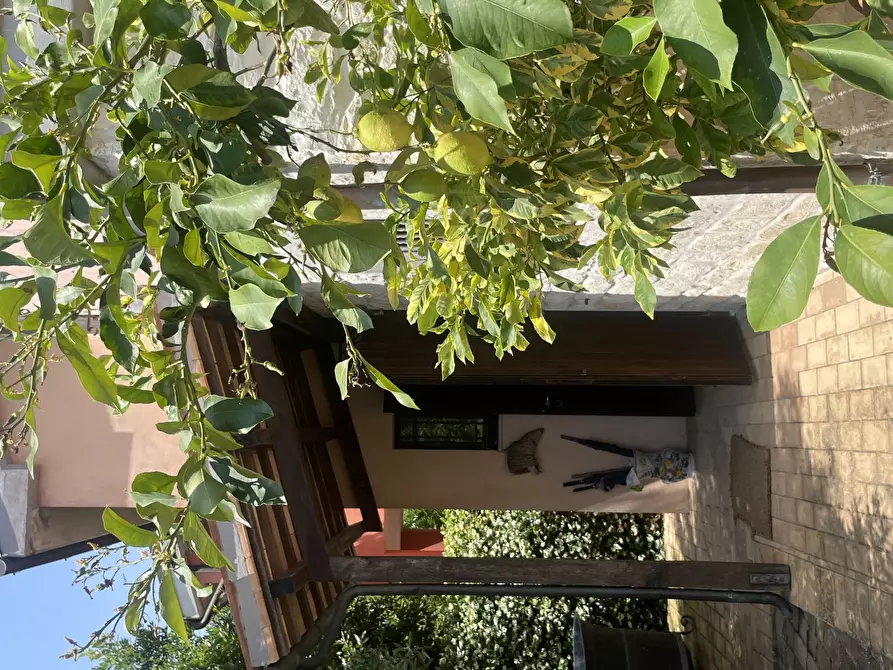 Immagine 12 di Villa in vendita  in Coppo a Sirolo