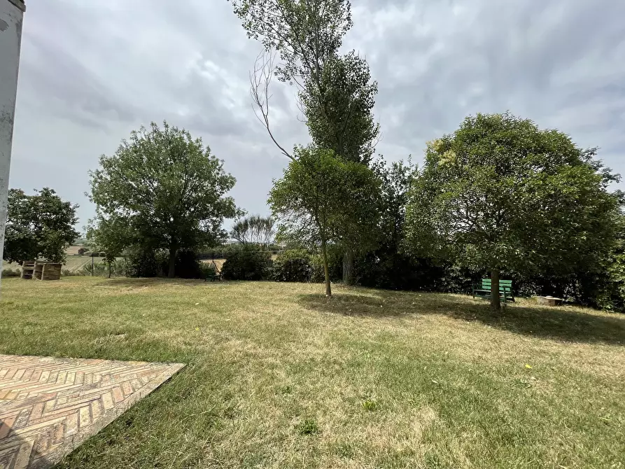 Immagine 5 di Rustico / casale in vendita  in Filottrano a Filottrano
