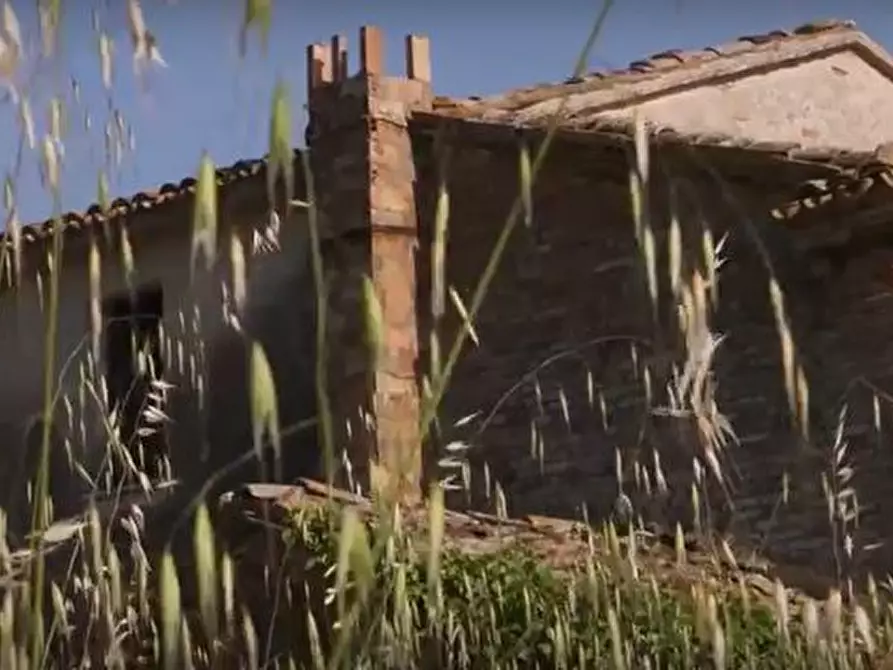 Immagine 15 di Rustico / casale in vendita  in CASTEL LEONE DI SUASA a Ostra Vetere