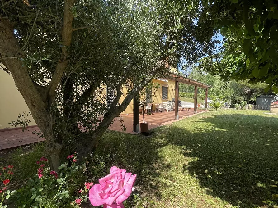 Immagine 9 di Rustico / casale in vendita  in offagna a Offagna