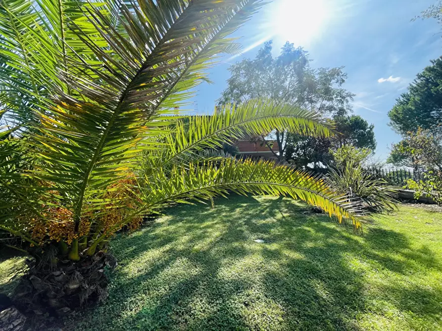 Immagine 19 di Villa in vendita  in Via Cagiata a Osimo