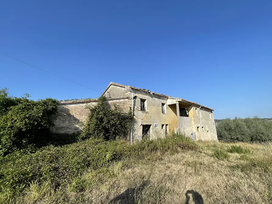 Immagine 1 di Rustico / casale in vendita  in casine di paterno a Ancona