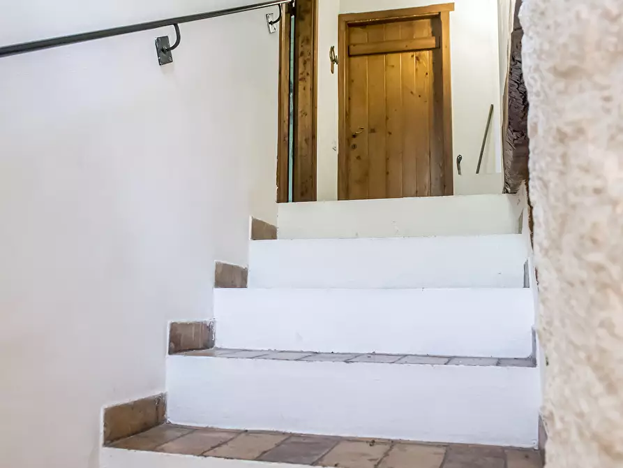 Immagine 37 di Rustico / casale in vendita  in OFFAGNA a Offagna