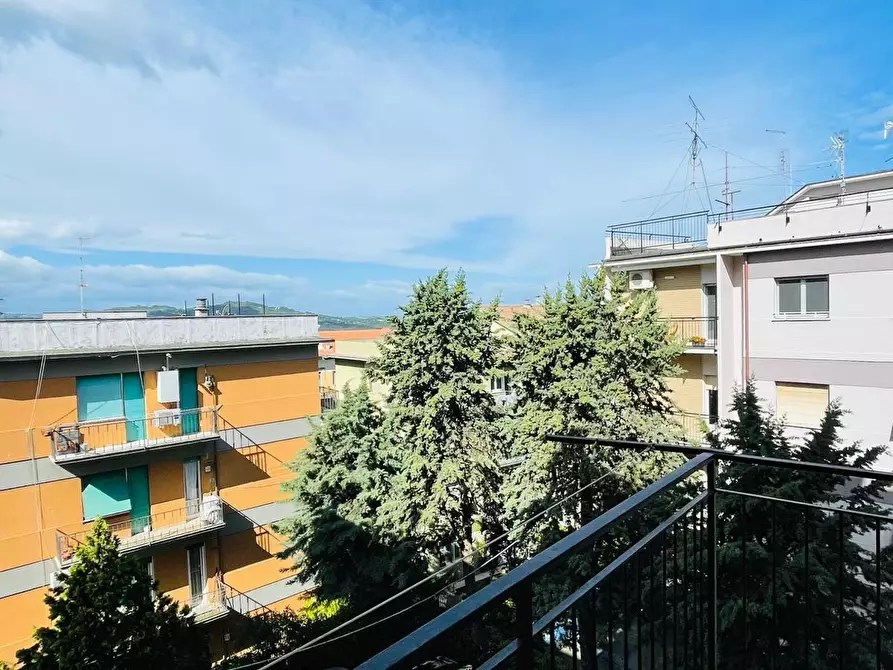 Immagine 10 di Trilocale in affitto  in Via Francesco Angelini a Ancona