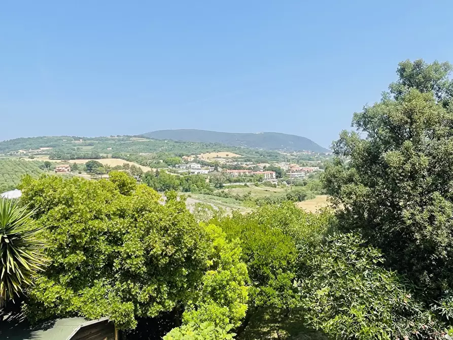 Immagine 28 di Villa in vendita  in Coppo a Sirolo