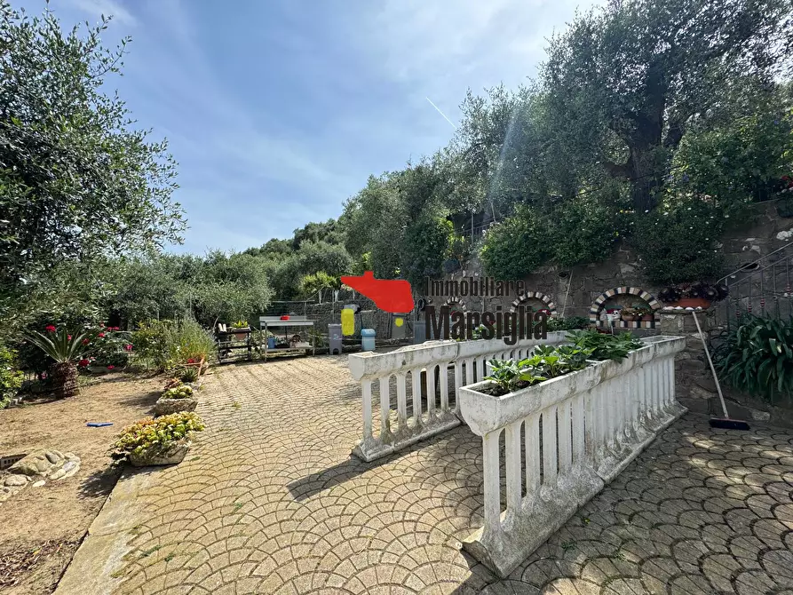 Immagine 6 di Villa in vendita  in Via Monsignore Tornatore a Dolceacqua