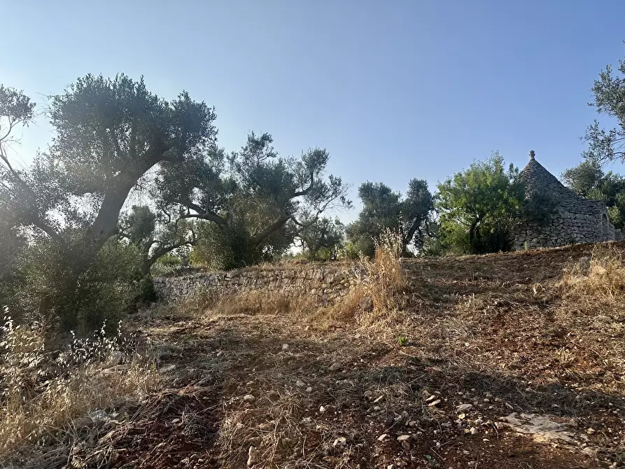 Immagine 7 di Terreno edificabile in vendita  a Ceglie Messapico