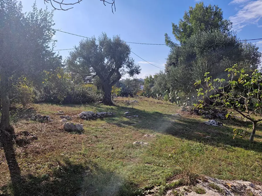 Immagine 10 di Casa indipendente in vendita  a Ostuni