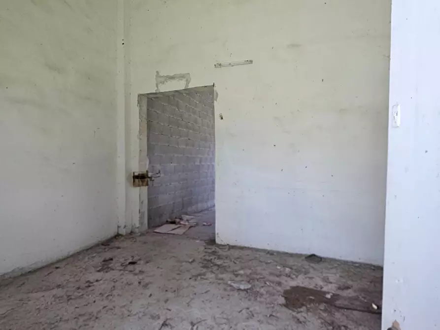 Immagine 15 di Magazzino in vendita  in Via Solano Li Belli 47 a Lequile