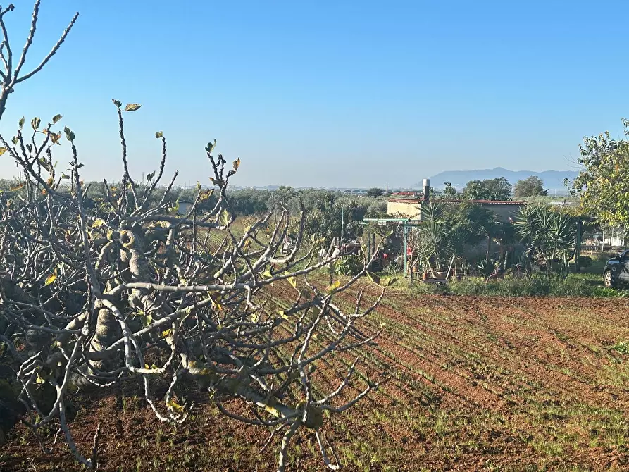 Immagine 8 di Terreno agricolo in vendita  a Terracina