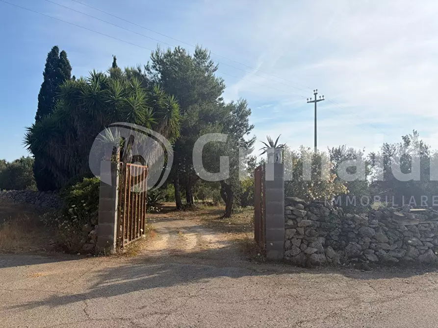 Immagine 1 di Terreno agricolo in vendita  in Contrada Coline a Alezio