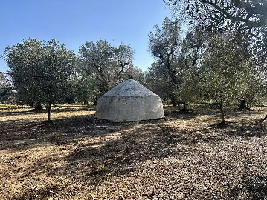 Immagine 36 di Villa in vendita  in Contrada Pezza d' Acqua Fresca 27 a San Vito Dei Normanni