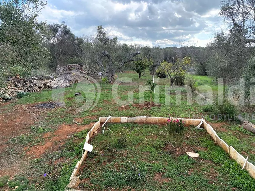 Immagine 20 di Terreno edificabile in vendita  in Santa Teresa a Sannicola