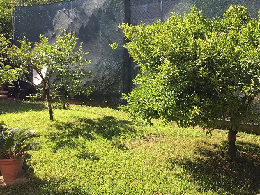 Immagine 21 di Quadrilocale in vendita  in via san giacomo 92 a Nettuno