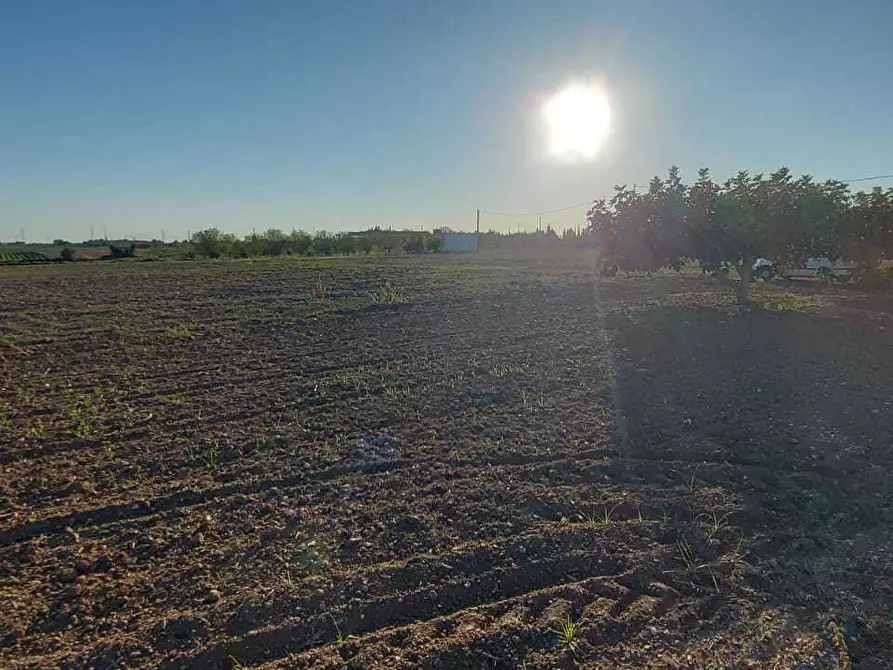 Immagine 12 di Villa in vendita  in Contrada Palmarini a Brindisi