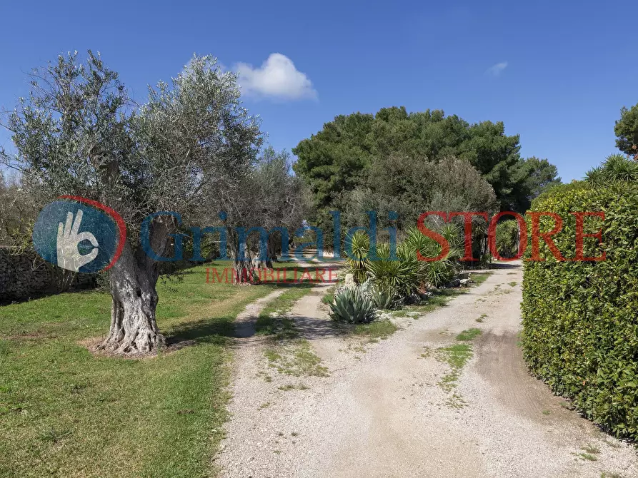 Immagine 78 di Casa indipendente in vendita  in C.S. Lu Monte 1 a Lizzanello