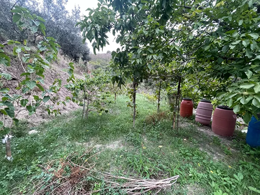 Immagine 39 di Casa indipendente in vendita  in ctd Scoppo 62 a Messina