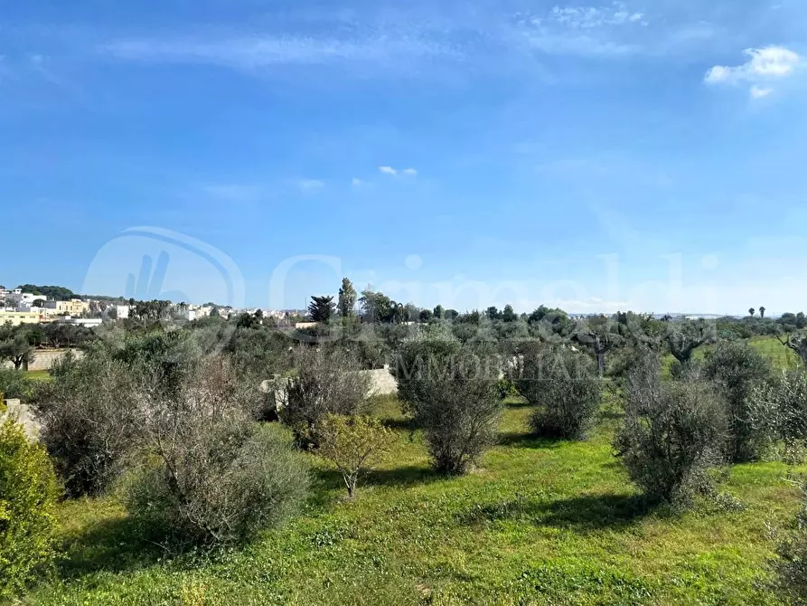 Immagine 24 di Villa in vendita  in contrada tisciano a Tuglie