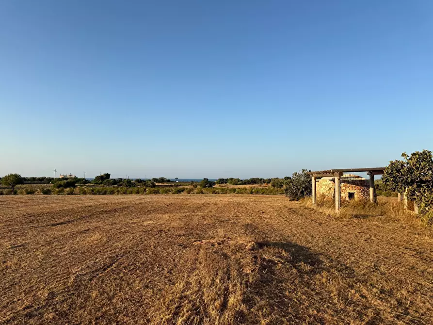 Immagine 18 di Terreno agricolo in vendita  in Contrada Cerasina a Fasano