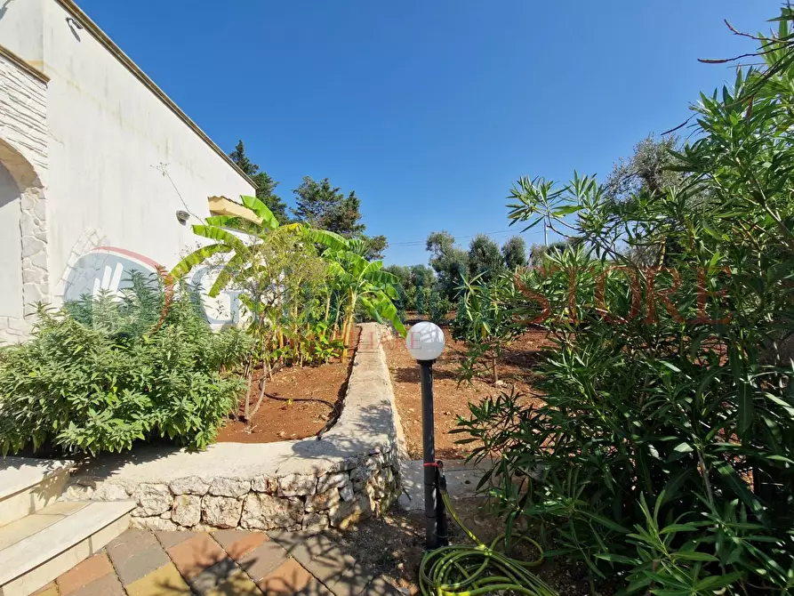 Immagine 31 di Villa in vendita  a San Vito Dei Normanni
