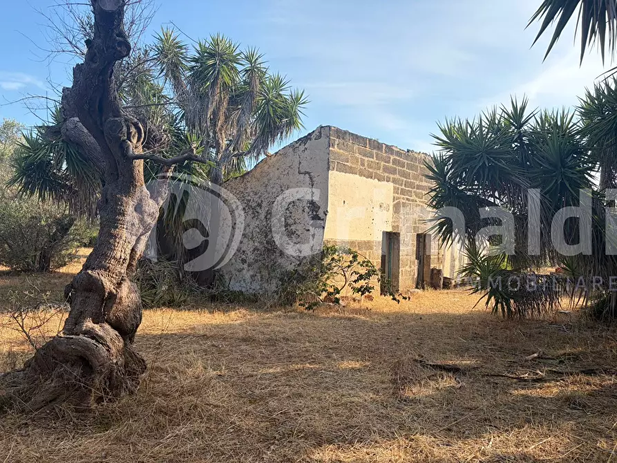 Immagine 6 di Terreno agricolo in vendita  in Contrada Coline a Alezio