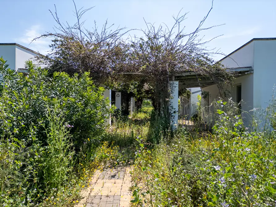 Immagine 59 di Casa indipendente in vendita  in Strada Provinciale 194 a Sannicola