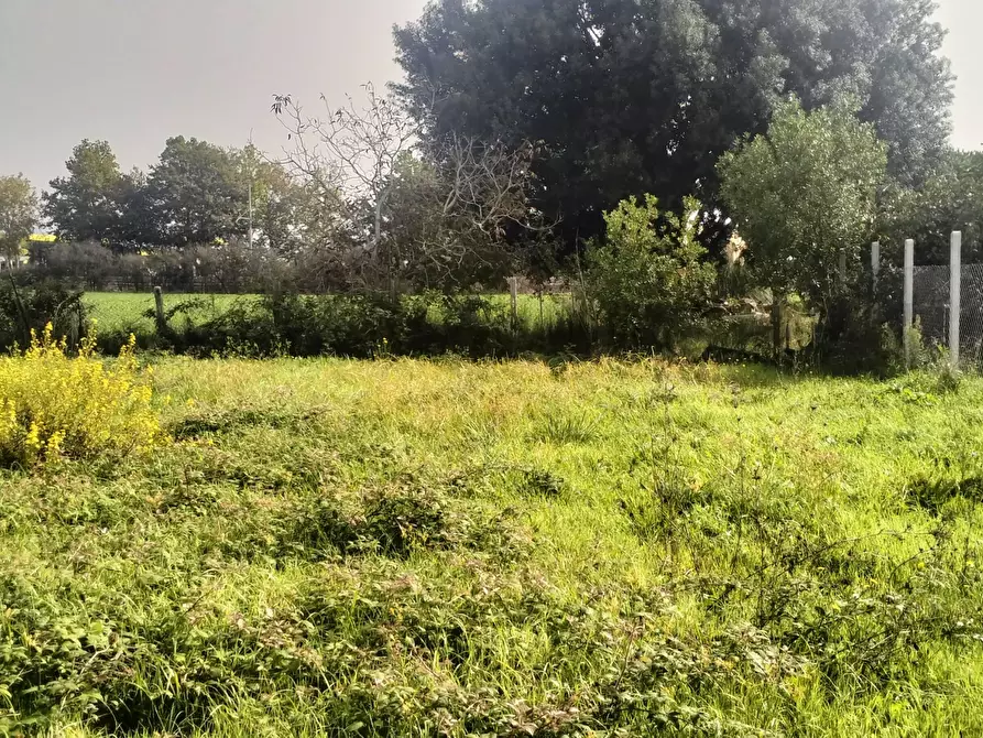 Immagine 5 di Terreno agricolo in vendita  in Via Lago di Sirino a Nettuno