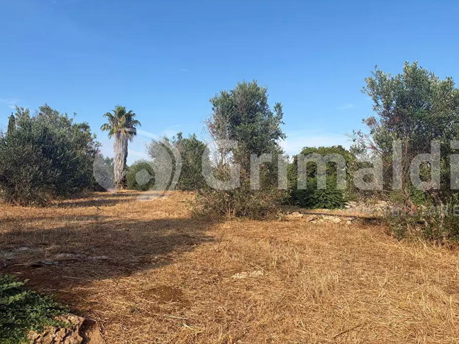 Immagine 27 di Terreno agricolo in vendita  in Contrada Coline a Alezio